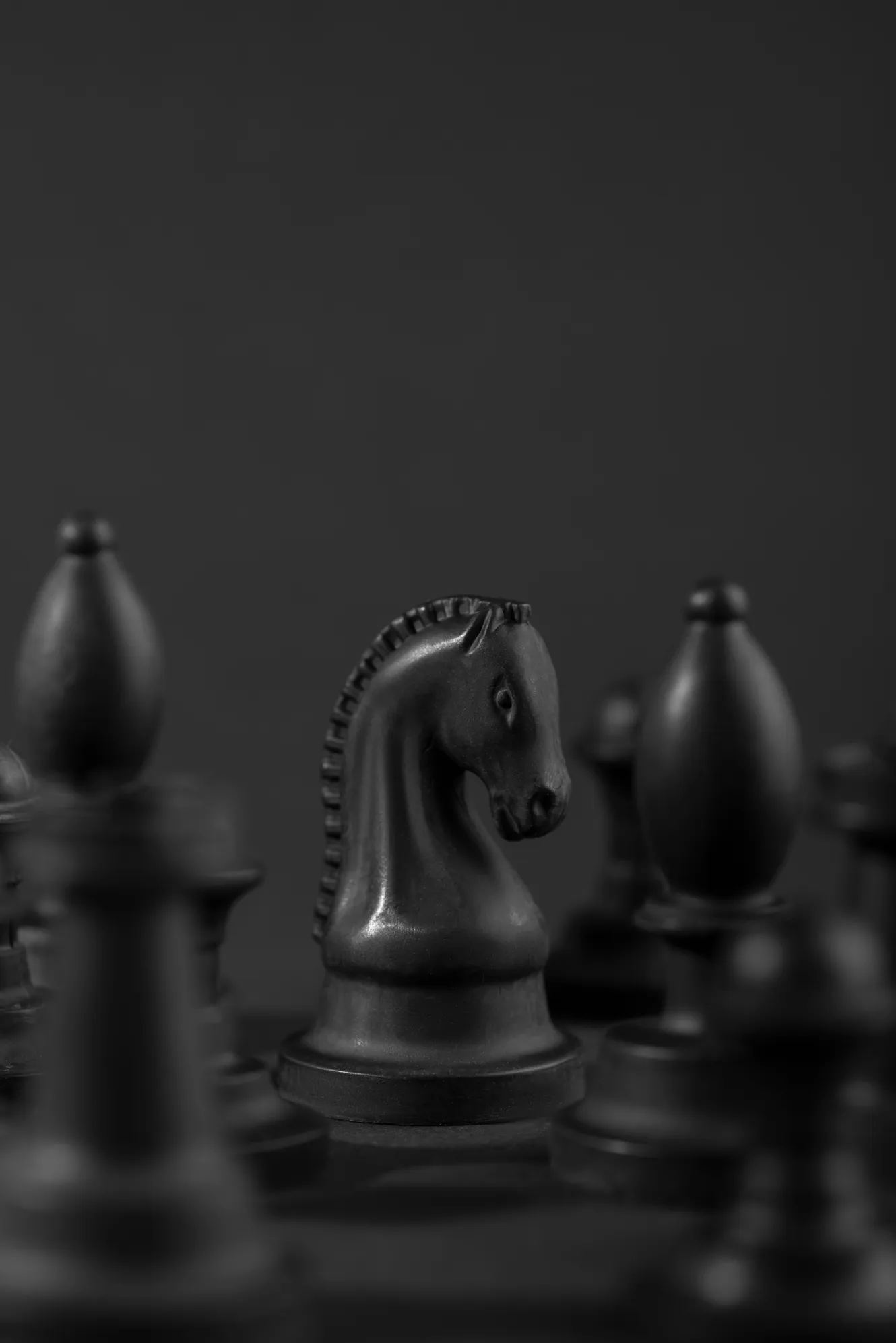 Black chess knight standing among blurred chess pieces on a dark background